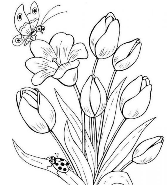 Detail Gambar Bunga Tanpa Warna Nomer 26