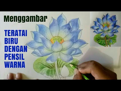 Detail Gambar Bunga Teratai Biru Nomer 37