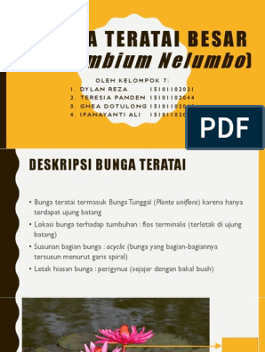 Detail Gambar Bunga Teratai Dan Bagian Bagiannya Nomer 26