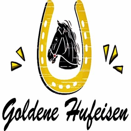 Detail Goldene Hufeisen Ohrringe Nomer 23