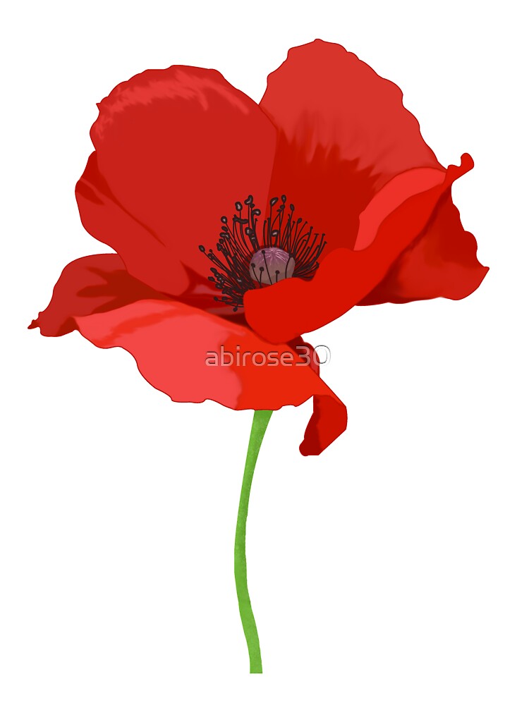 Jugendstil Mohn - 28+ Koleksi Gambar