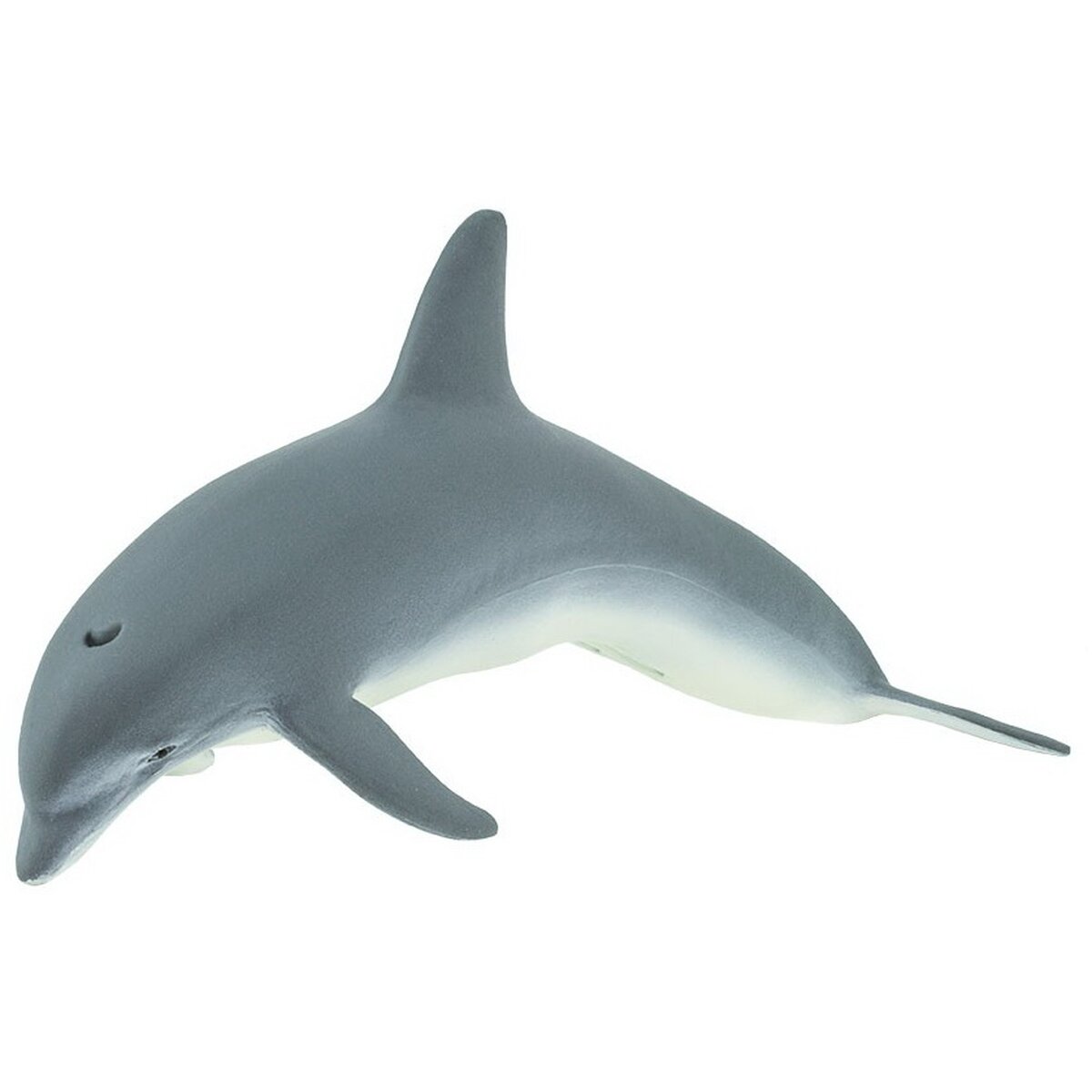 Detail Delfin Aquarium Nomer 17