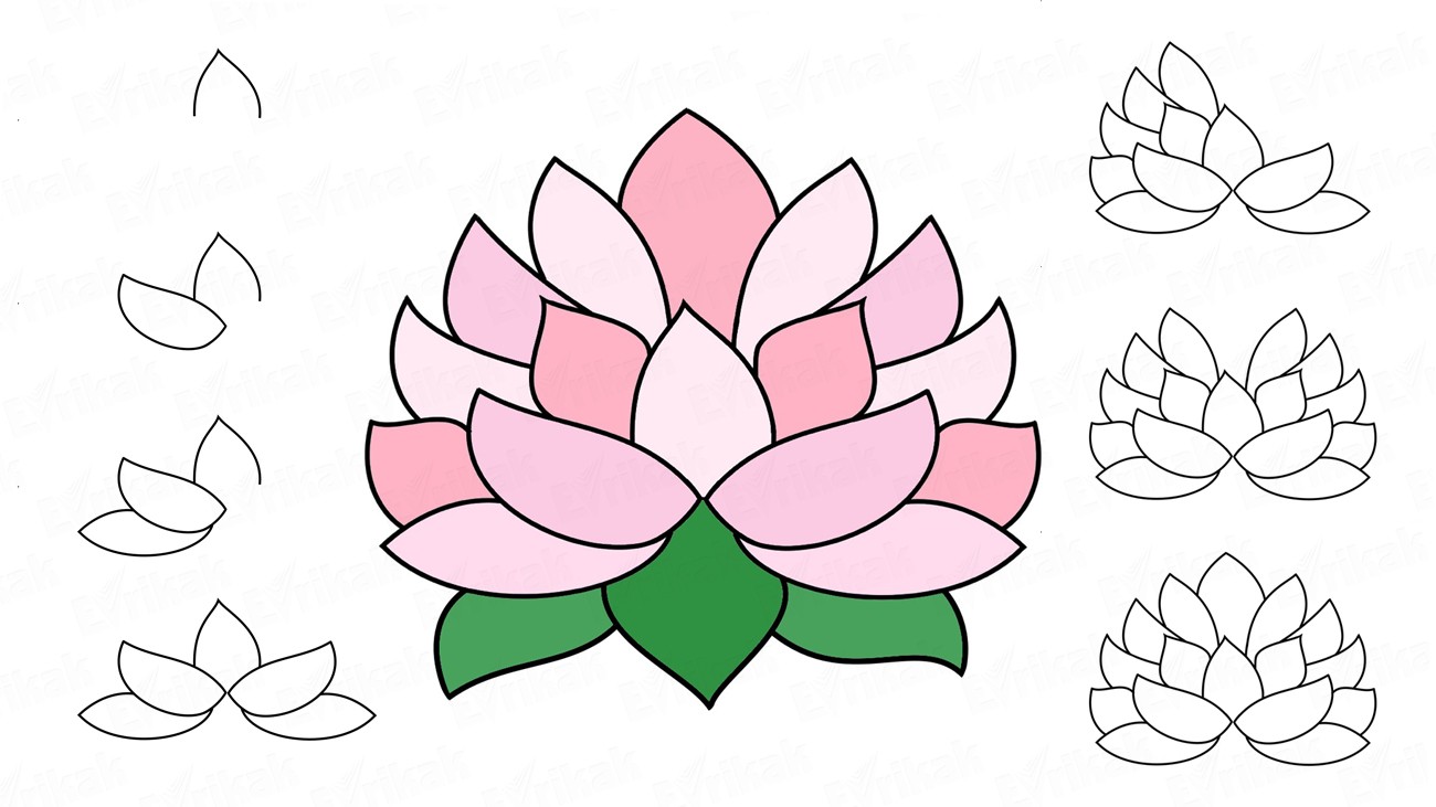 Detail Gambar Bunga Teratai Dengan Pensil Nomer 21