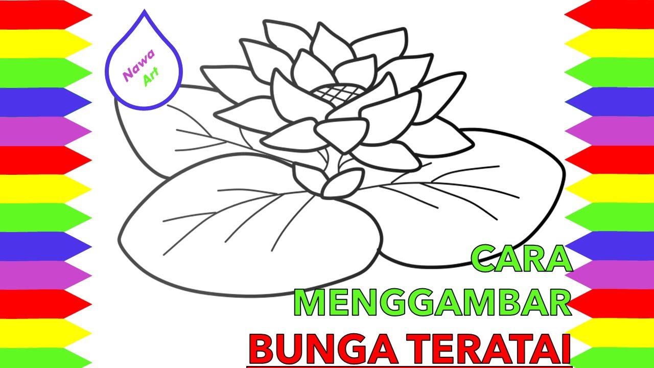 Detail Gambar Bunga Teratai Mewarnai Nomer 49