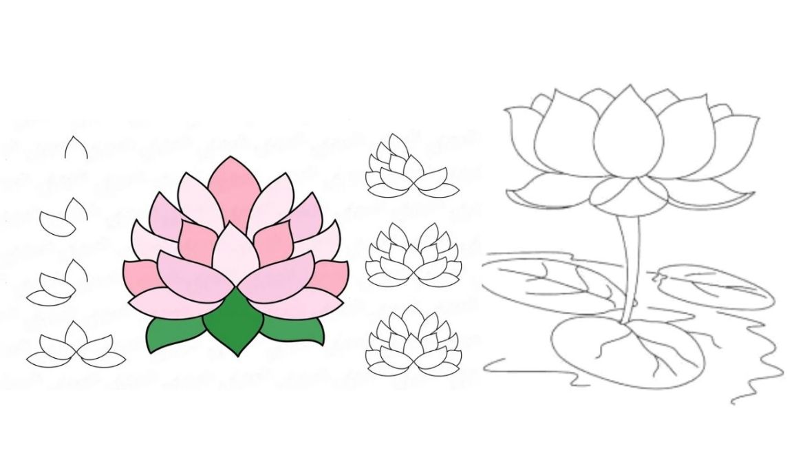 Detail Gambar Bunga Teratai Sketsa Nomer 5