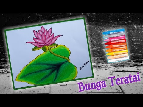 Detail Gambar Bunga Teratai Sketsa Nomer 50