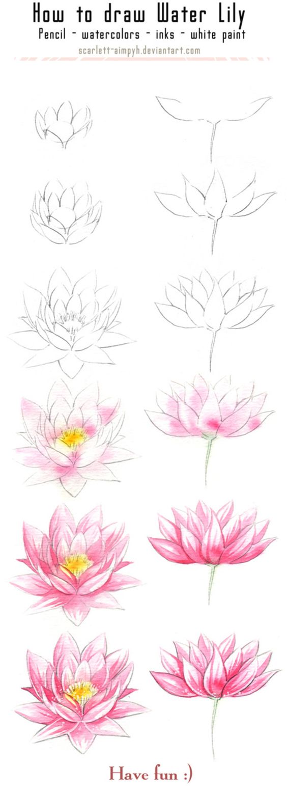 Detail Gambar Bunga Teratai Sketsa Nomer 57