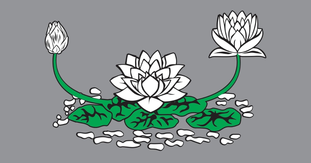 Gambar Bunga Terate Png - KibrisPDR