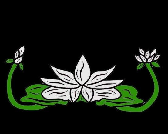 Detail Gambar Bunga Terate Png Nomer 13