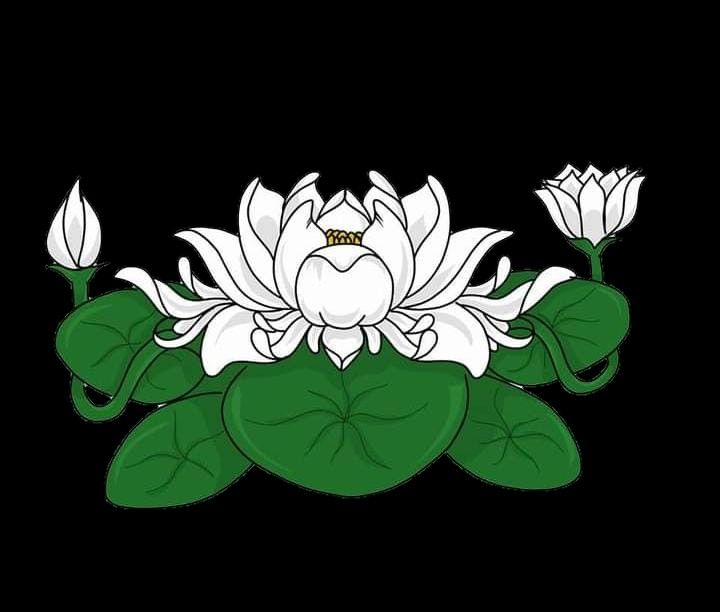 Detail Gambar Bunga Terate Png Nomer 16