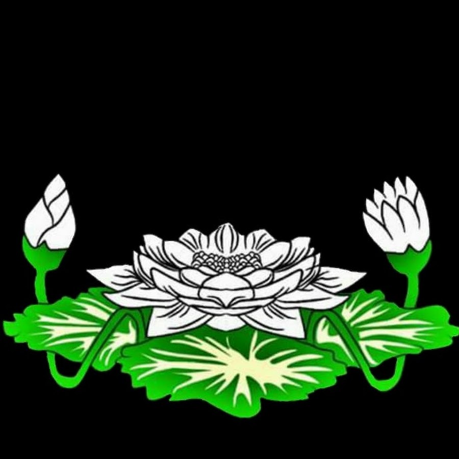 Detail Gambar Bunga Terate Png Nomer 31