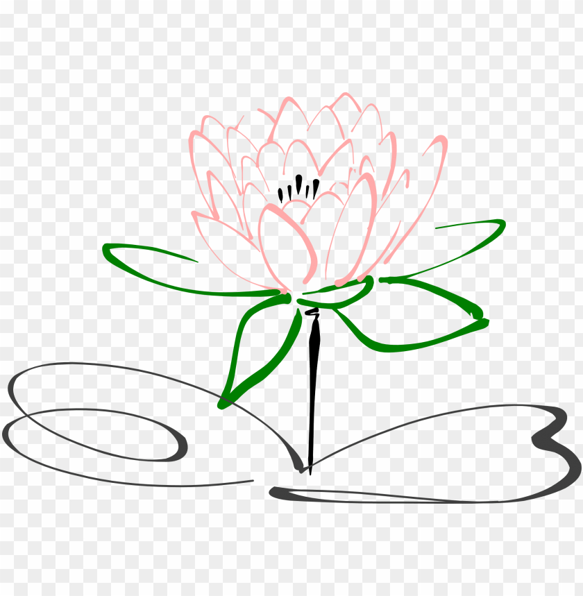 Detail Gambar Bunga Terate Png Nomer 5