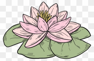 Detail Gambar Bunga Terate Png Nomer 43