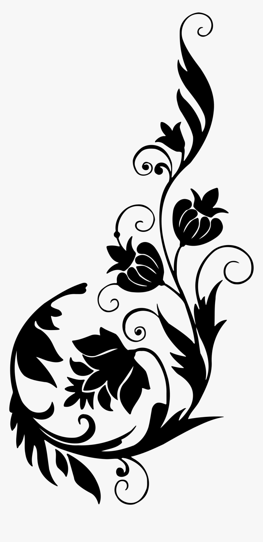 Detail Gambar Bunga Terate Png Nomer 50