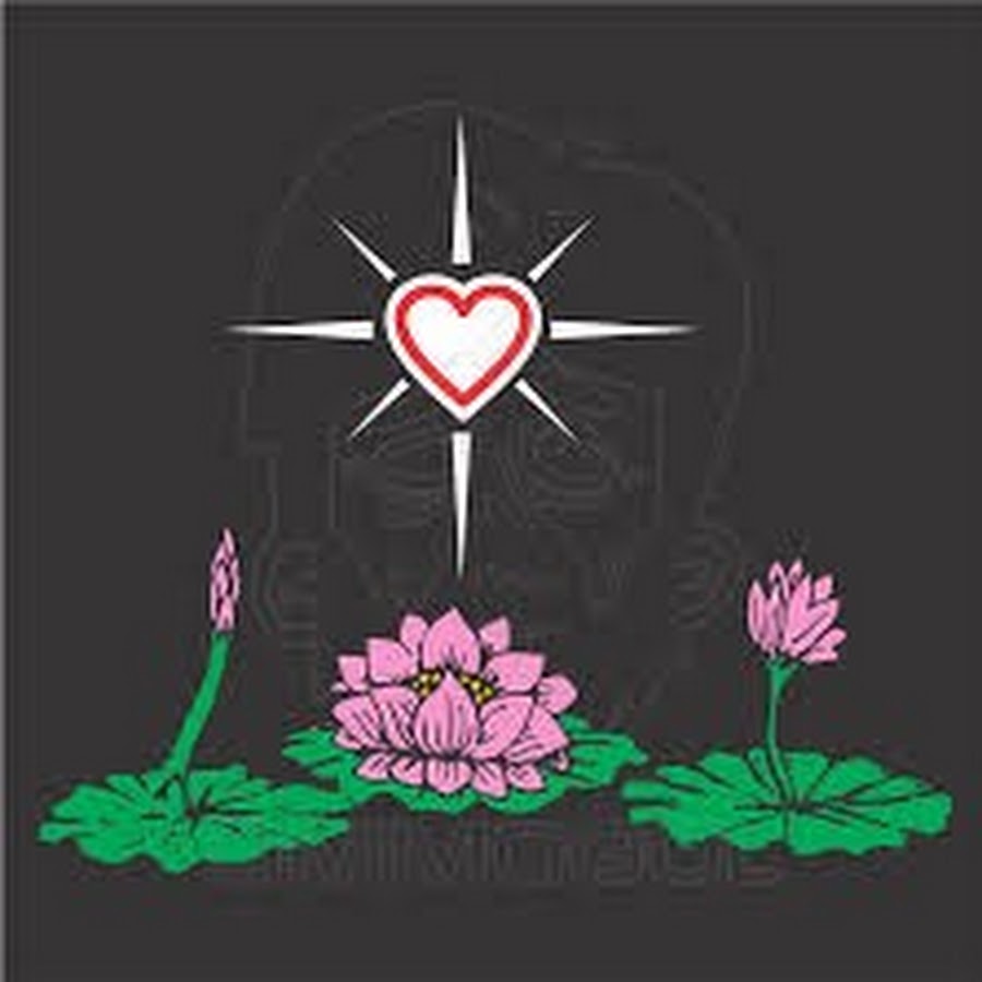 Detail Gambar Bunga Terate Png Nomer 53