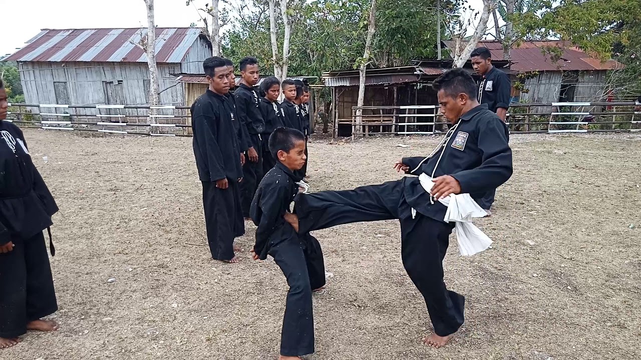 Detail Gambar Bunga Terate Tendangan Taekwondo Nomer 15