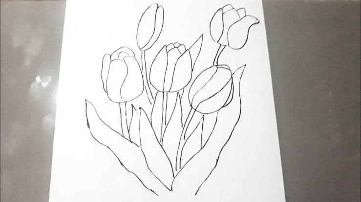 Detail Gambar Bunga Tulip Anak Tk Nomer 27