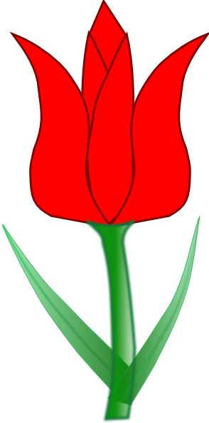 Detail Gambar Bunga Tulip Animasi Hitam Putih Nomer 20