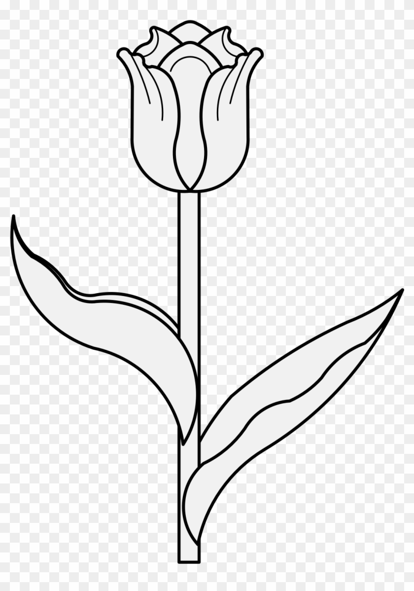 Detail Gambar Bunga Tulip Animasi Hitam Putih Nomer 7