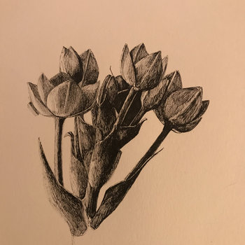 Detail Gambar Bunga Tulip Arsiran Nomer 41