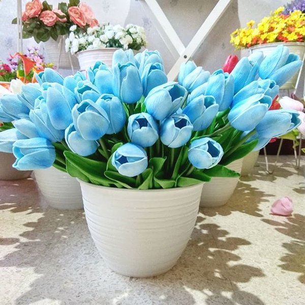 Detail Gambar Bunga Tulip Biru Nomer 19