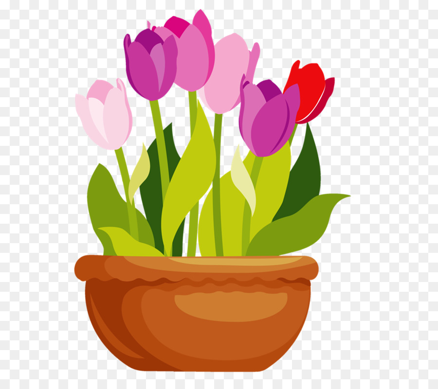 Detail Gambar Bunga Tulip Dalam Pot Nomer 19