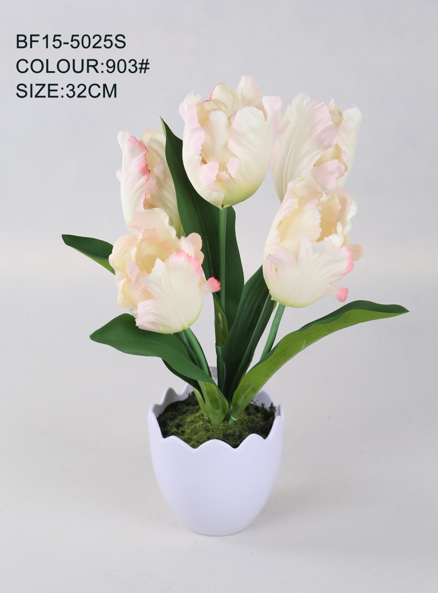 Detail Gambar Bunga Tulip Dalam Pot Nomer 28