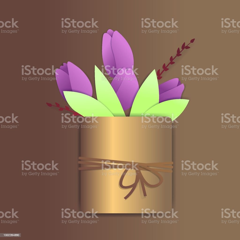 Detail Gambar Bunga Tulip Dalam Pot Nomer 51