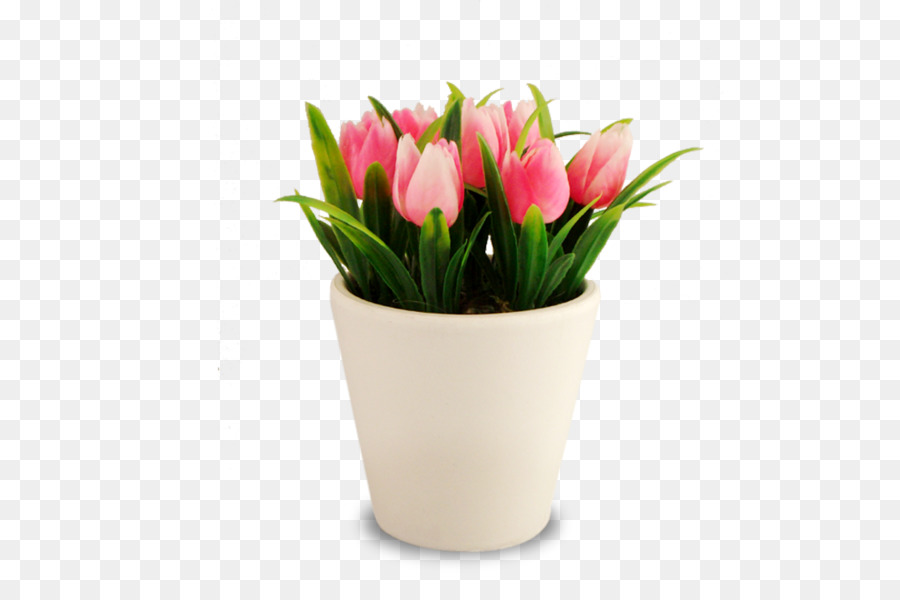 Detail Gambar Bunga Tulip Dalam Pot Nomer 53