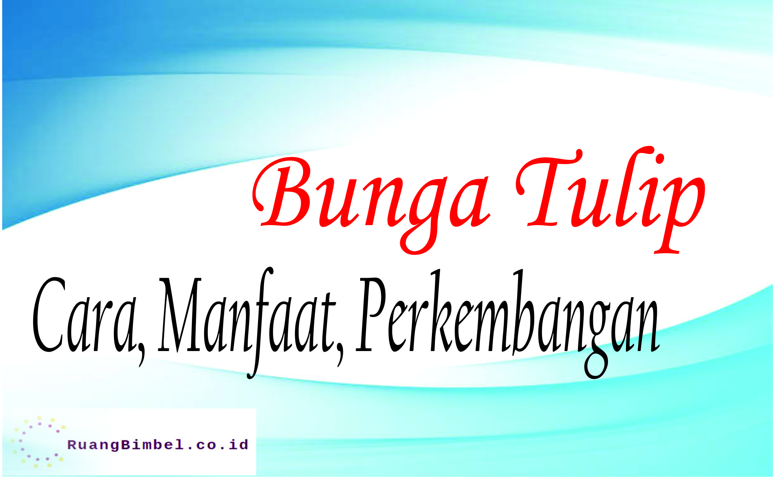 Detail Gambar Bunga Tulip Dan Bagiannya Nomer 18