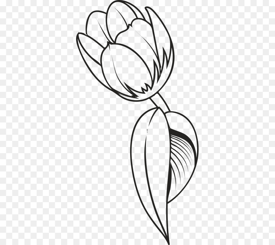 Detail Gambar Bunga Tulip Dari Pensil Nomer 19