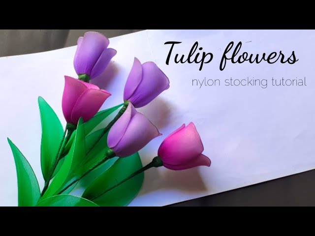 Detail Gambar Bunga Tulip Dari Stocking Nomer 30