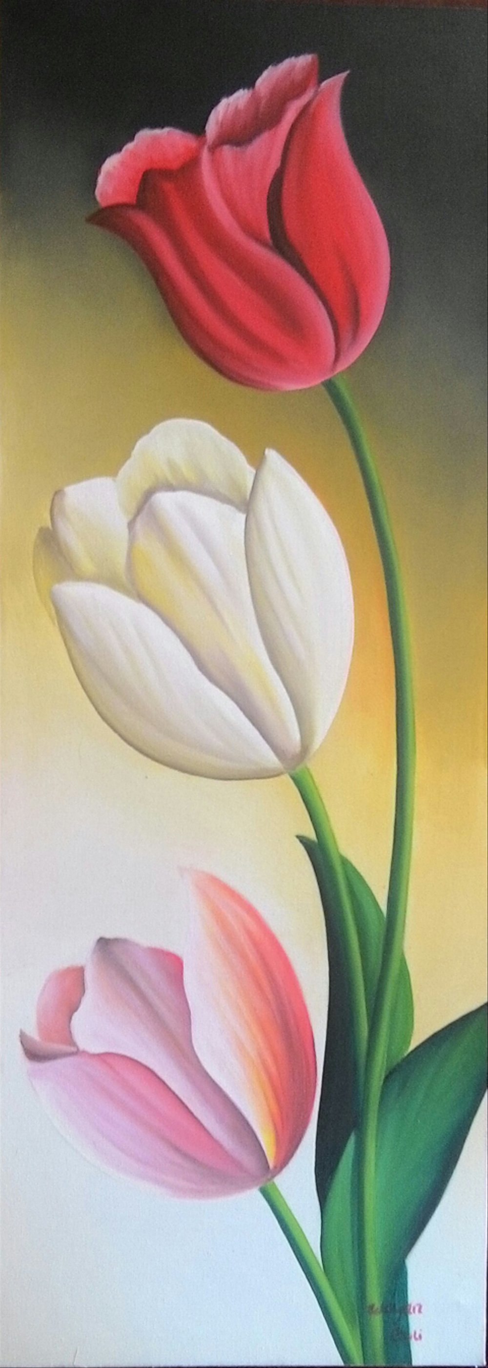 Detail Gambar Bunga Tulip Di Kanvas Nomer 31