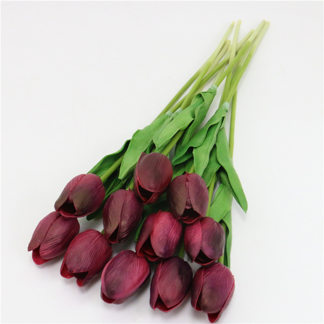Detail Gambar Bunga Tulip Indah Nomer 51