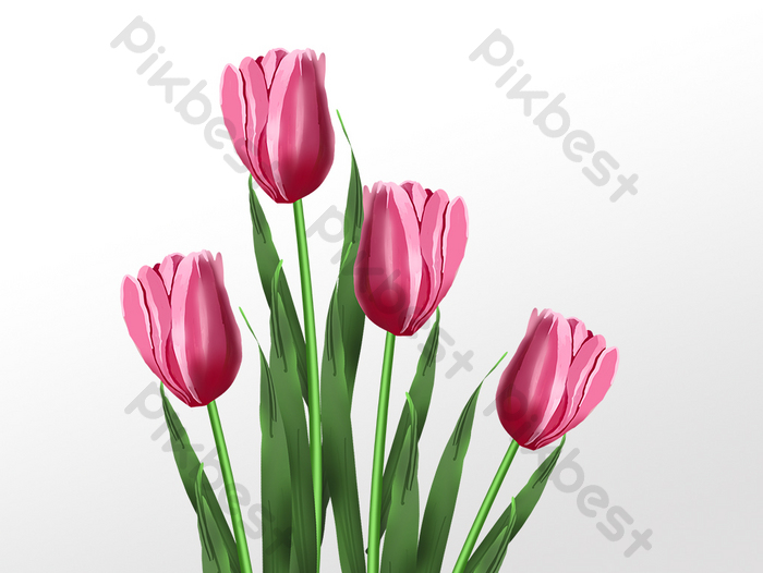 Detail Gambar Bunga Tulip Indah Nomer 54