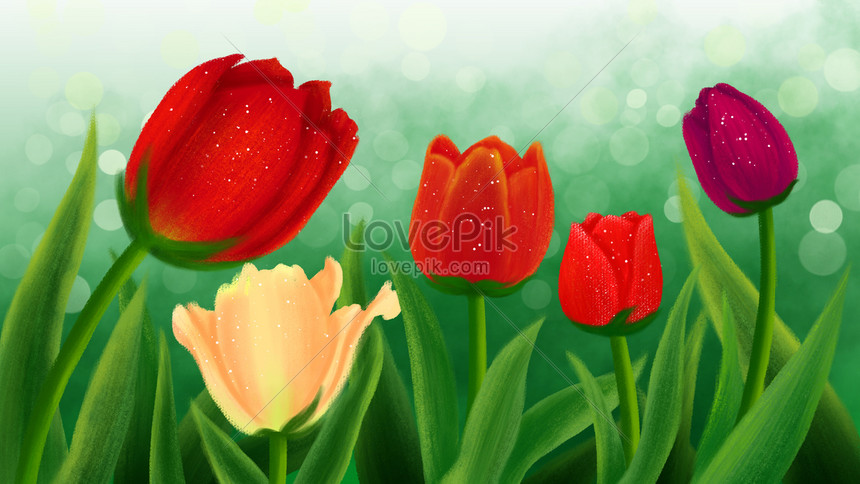 Detail Gambar Bunga Tulip Lukisan Nomer 46