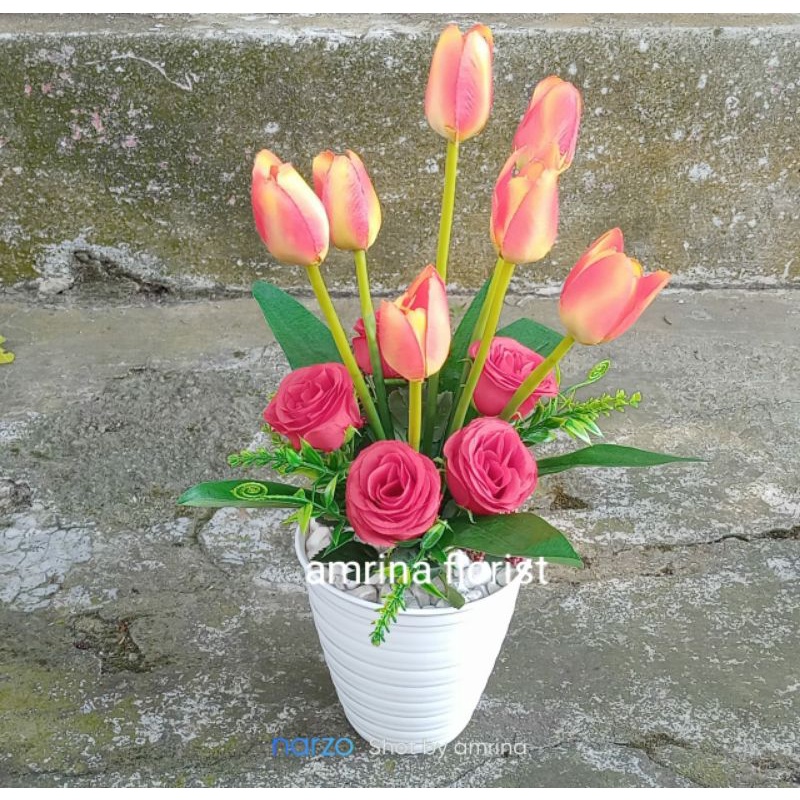 Detail Gambar Bunga Tulip Mawar Nomer 7