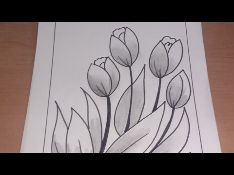 Detail Gambar Bunga Tulip Mewarnai Nomer 31