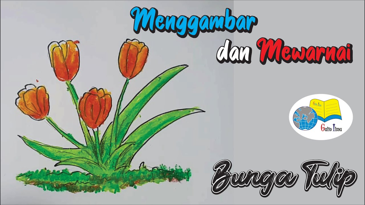 Detail Gambar Bunga Tulip Mewarnai Nomer 44