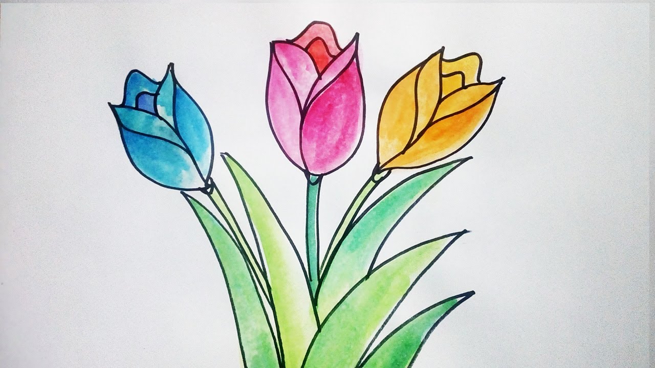 Detail Gambar Bunga Tulip Mudah Nomer 10