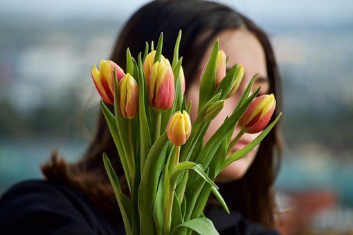 Detail Gambar Bunga Tulip Pixabay Nomer 33