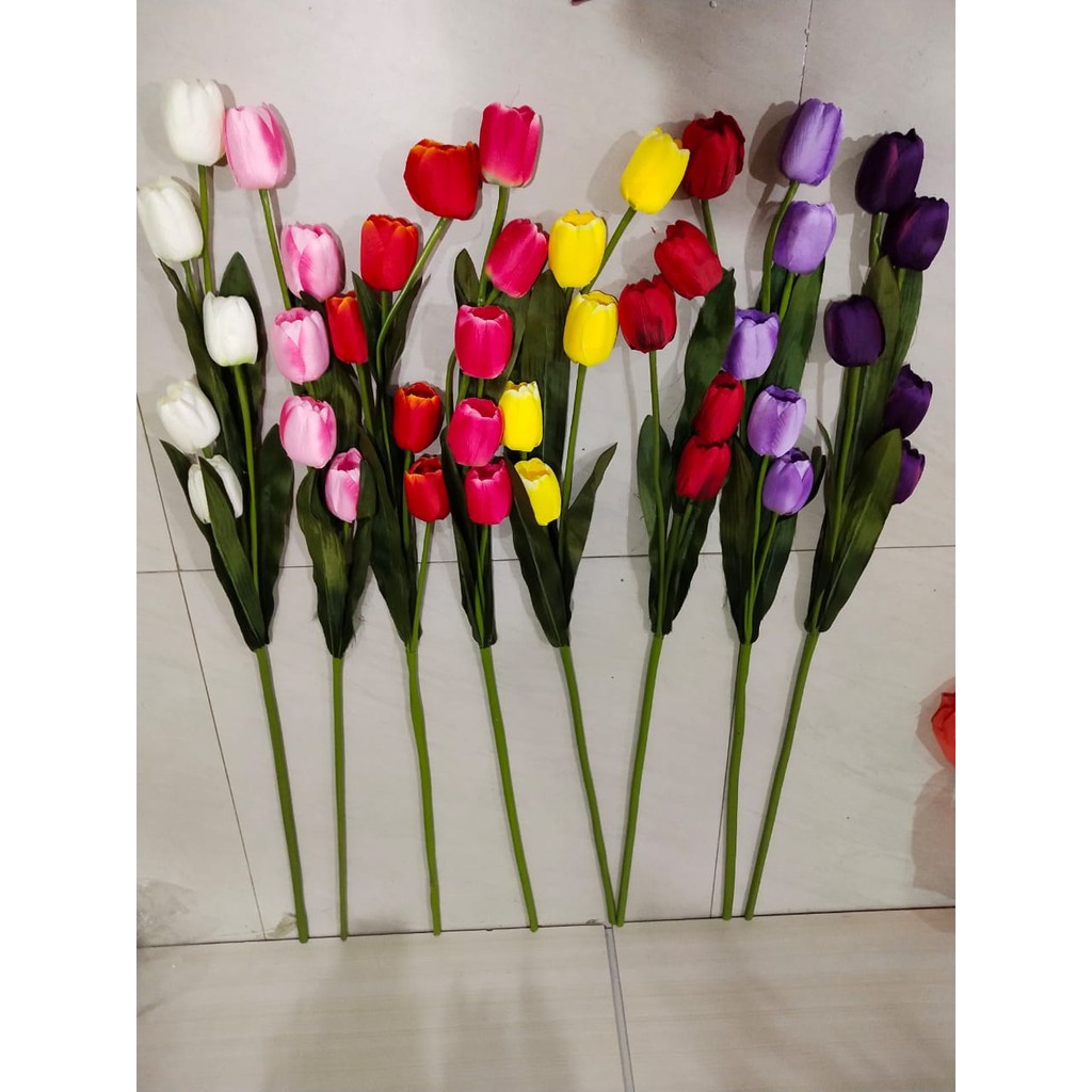 Detail Gambar Bunga Tulip Satu Tangkai Nomer 17