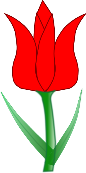 Detail Gambar Bunga Tulip Satu Tangkai Nomer 53