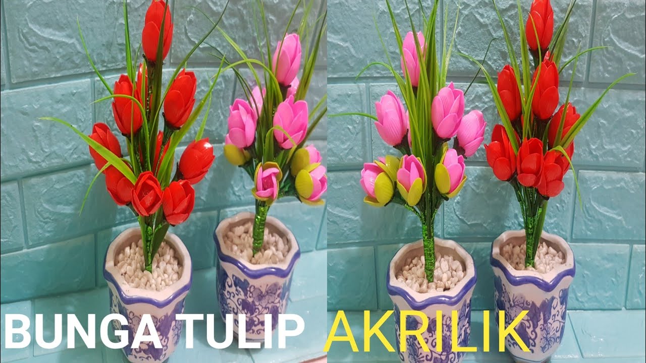 Detail Gambar Bunga Tulip Sederhana Nomer 44