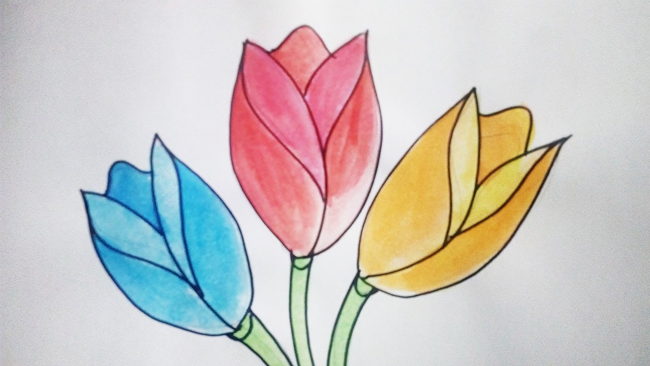 Detail Gambar Bunga Tulip Simple Nomer 39