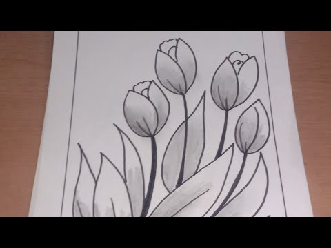 Detail Gambar Bunga Tulip Sketsa Nomer 1