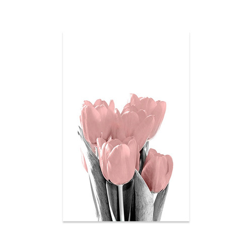 Detail Gambar Bunga Tulip Tanpa Warna Nomer 36