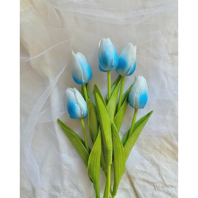 Detail Gambar Bunga Tulip Warna Biru Nomer 13