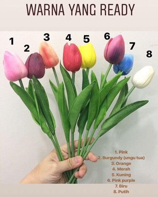 Detail Gambar Bunga Tulip Warna Biru Nomer 40