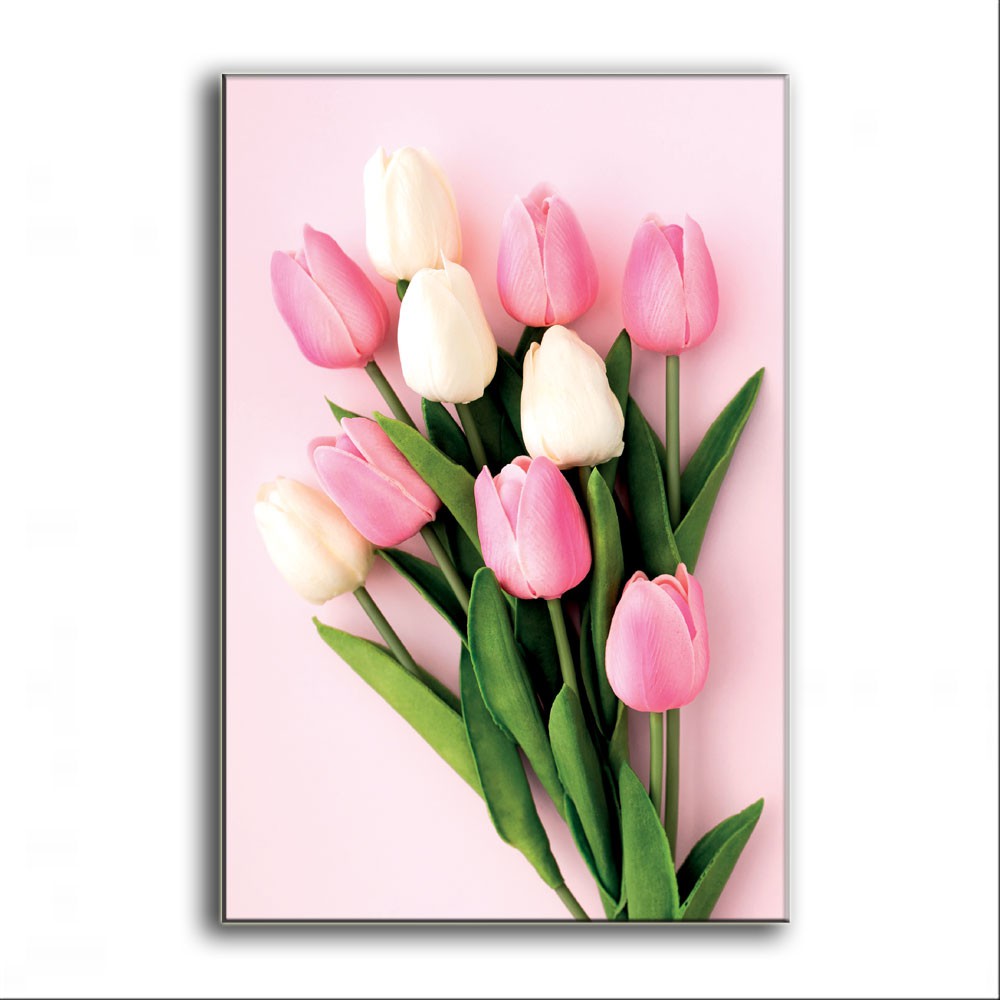 Detail Gambar Bunga Tulip Warna Pink Nomer 3
